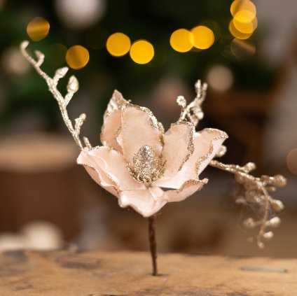 e077fb97 6a34 4efc aa58 50e365aba3db