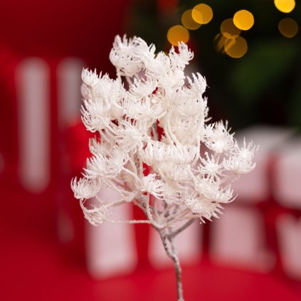 7acaf0bf aac0 4d3c a5e5 a382918c7b2f