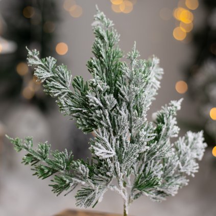 9ee03b12 3805 4362 908e 98a5356b9713