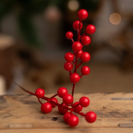 fe602fbe 66b2 4cfc be5c ba17064cbf10