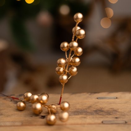 5b05ab3b ae57 491e 8217 c69b34338130