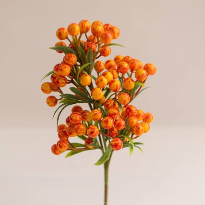 3625680d b207 4b3f 8771 d38f45f6f745