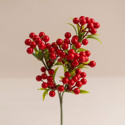 1aff30f1 7249 4e78 8a65 802e25e85a7e