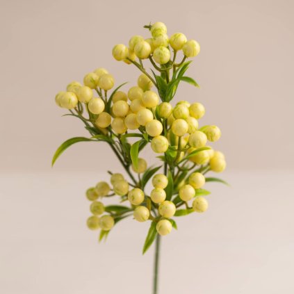 b9b11661 21e2 4297 ae1c e279ebb9b6a5