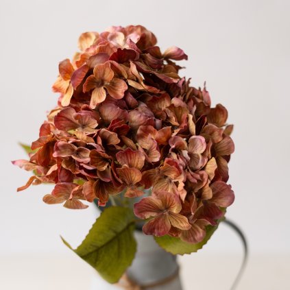 c7bf8594 60bf 4711 872f 91b3237cdeb6