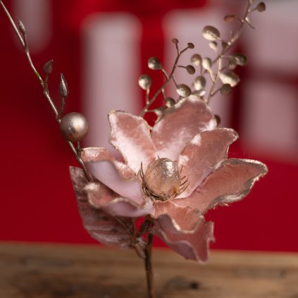 f457d1c4 775b 4969 8362 5bfe9919502d