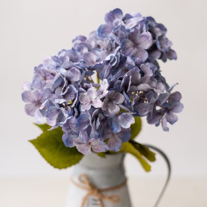 d27cd085 f9d4 45ed 87c8 2f900b072ddd