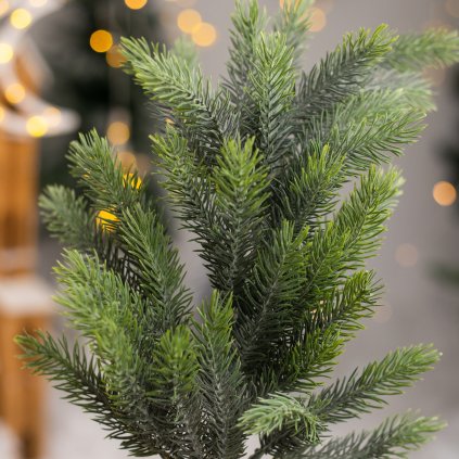 eeceea2a 586a 4b65 93c1 cb105a63c800