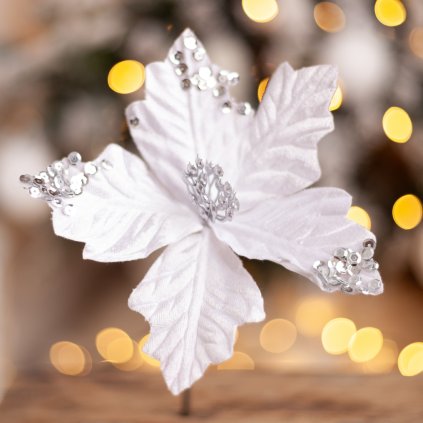 696c7605 78c6 4ae4 998f 7d79c502099d