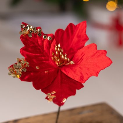 50c1130e 1617 4e99 a351 8b6c2eccb120