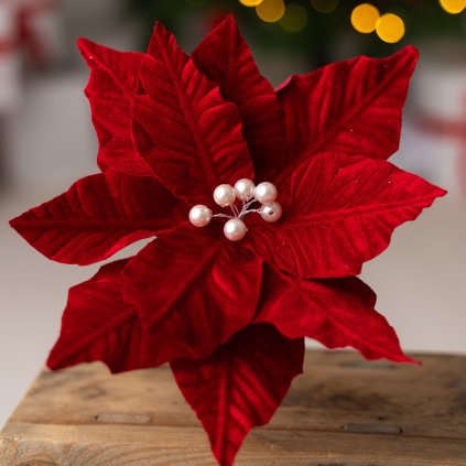 95a73fc9 de18 4c2a 96ba edb10dba41bb