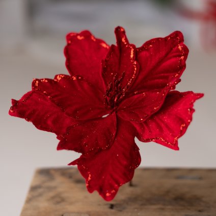 32c01db4 3803 4bfd 99f2 d80a86df7e6a