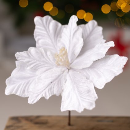 24208c19 563e 4c08 bd81 ccf4b92e98b4