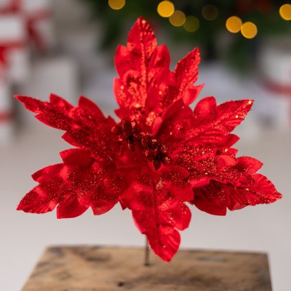 27d2e5f2 d2dc 4057 bea4 cf048445a688