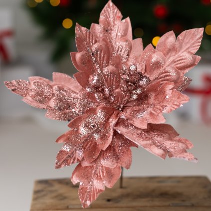 e6371ef1 4b47 43a7 94f6 f037ba40e152