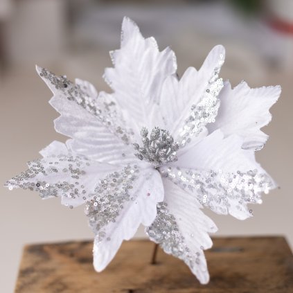 86e55983 3426 4a3e 8bba 4c542c2122bb