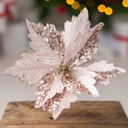 8a30ac77 23ac 4ed3 84bd 47e784507df0