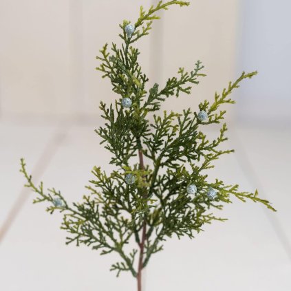 9e0bc11d 5a30 4a86 b603 46545f30959f