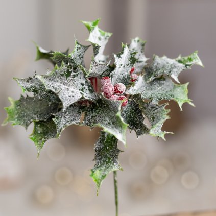 f7cfb6a3 6957 4064 a3f6 44c5d1b65d7d