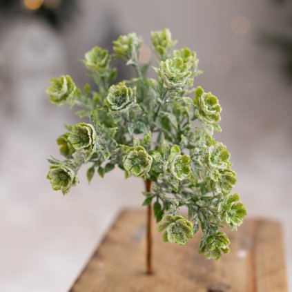 1037040e 7a54 4ad0 8149 5a10b98daac8