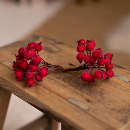 6d392813 95d5 41f3 ab7e 4edcd043e7aa