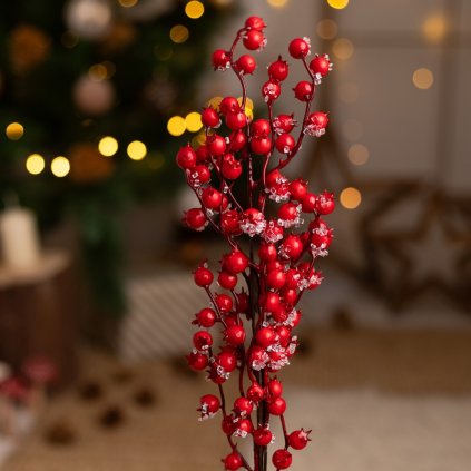 97c484cd 5a79 4078 bbea d20dbf1cc8c0