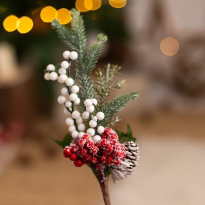 556fe46a e098 441c 9991 d15f12930c03