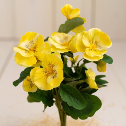 c1f0c710 9216 4832 87d9 ae1b04875e72