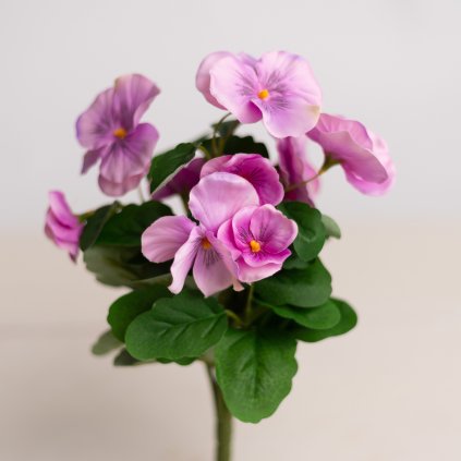 2506f47b 56f7 487f a72c 525debb328a5