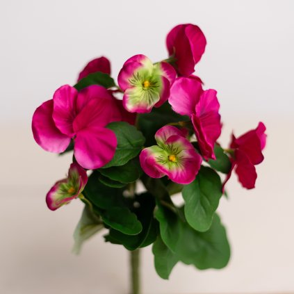 d7d6cdaa 8aaa 457f 914b c34bda330335