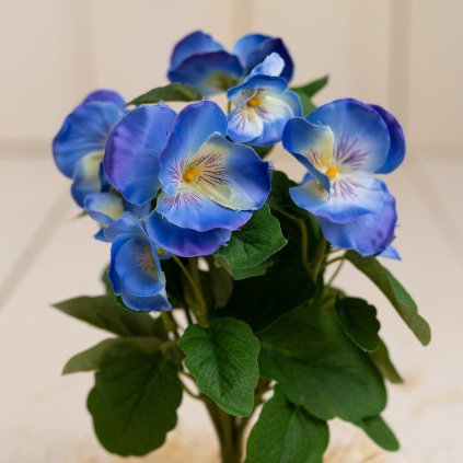 5b20d221 7cfa 44f9 ab86 b28daa8cb0ac