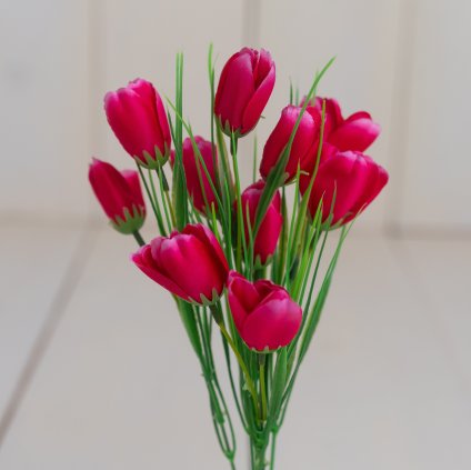 a06319f2 c4ec 46c4 b79a 5fb4cd156934