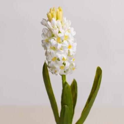 230916ae dbba 4318 ac5c 941a89071c68