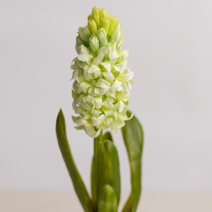 480a5bee a403 47e6 b75d 40cb00a8c0b5