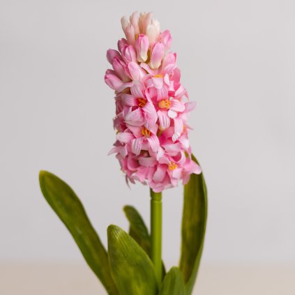 e51c78eb db6d 42de a1d7 c0c848354955