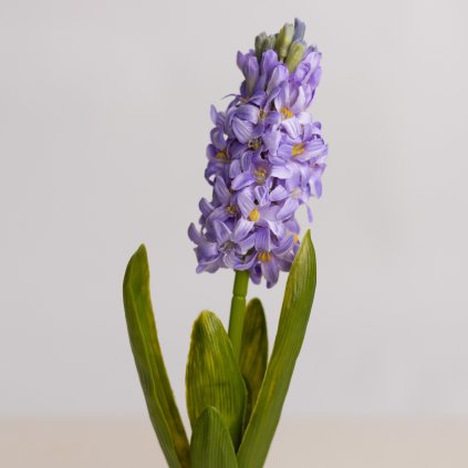 fd311091 25a2 4975 9ad8 ae3253e40ea2