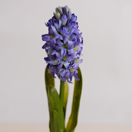 36b8435f 6831 4af0 b586 5d4848802382