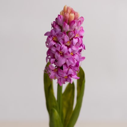 3f057b79 bd5a 449a 9e97 f4b44b3255b0