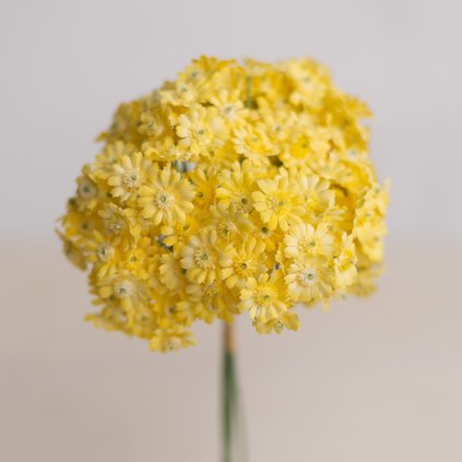 7a90011f b0f5 4320 a2eb e3708abdd0ac