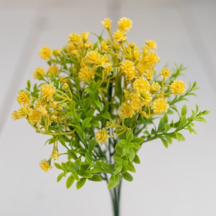 69c065c9 eed9 408a ba1c 82046e6fa50c