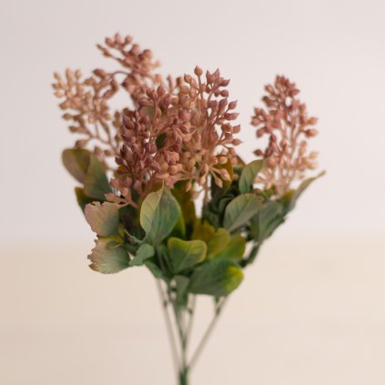 200b082b c6d1 43c3 9cc7 b13dff5ab29b