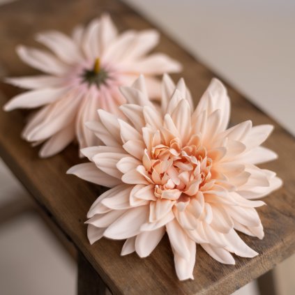 1758ec86 d4e8 4b5b 9e0c 1c544914ea39