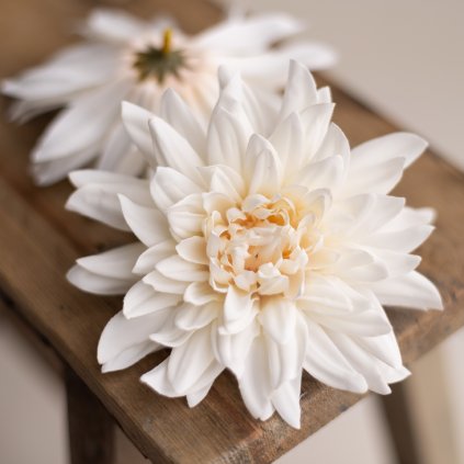 c60bc483 952c 4a7f 9f44 8bdf07a2dafd