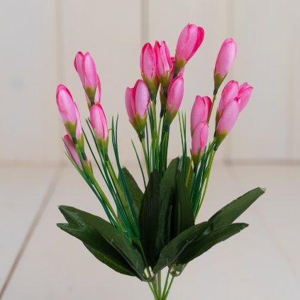 977d291e ab0c 4579 a233 b50b72b9f142