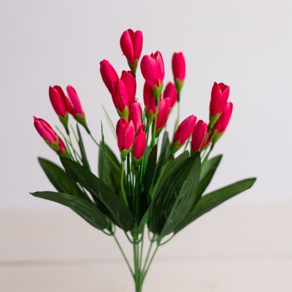 c4622345 6370 4845 bff1 d8c82669eed1