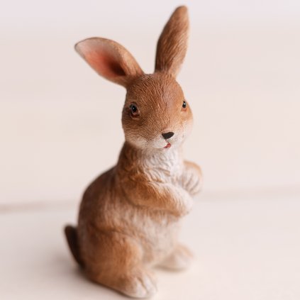 bca5647a 021c 49d3 915d 4ea8f050dbee