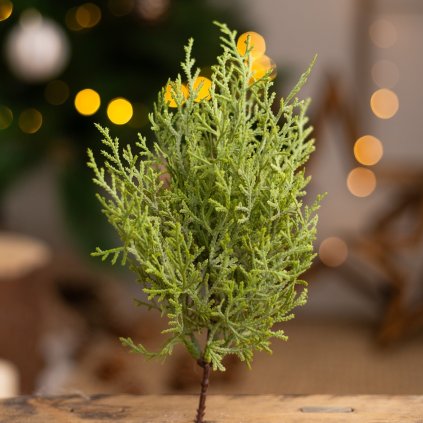 42d2a231 aee0 4c1d a5d7 f0500fc26985