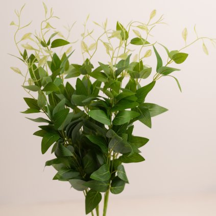 e530bf13 d819 49d8 8f95 2c7aa9b83d1f