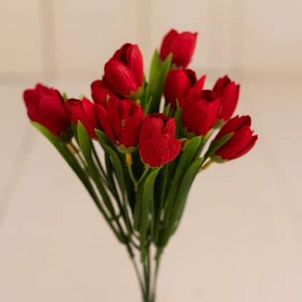 1dc1b7fd 7efe 406f 9d2c 0c61461dd20d