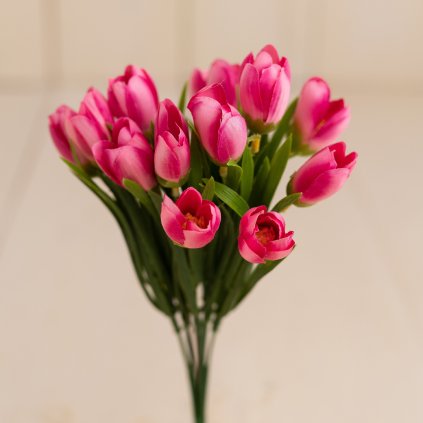 3d9bd6fd 2f22 4446 b183 8a725b4c7618